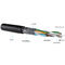 câble de réseau de 500MHz S/FTP CAT6 4P + veste externe de LDPE de twisted pair de F